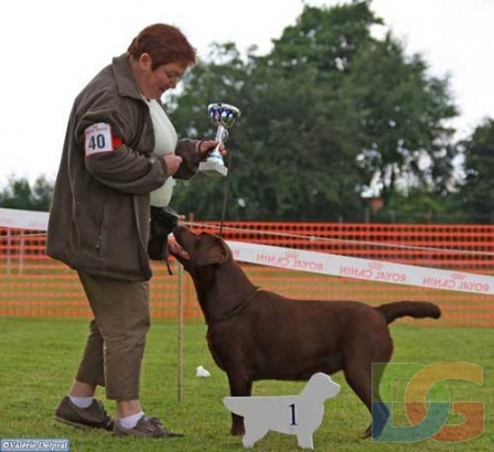 Chana du Dolmen de Cotherac